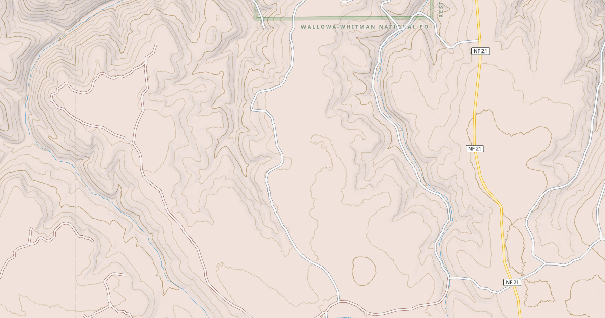 Map preview of USFS National Forest System Roads {0F2670B2-52EF-4C21-A58C-C7443D6B98A3}