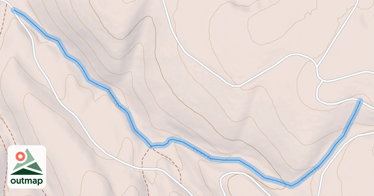 Map of Electric Eel