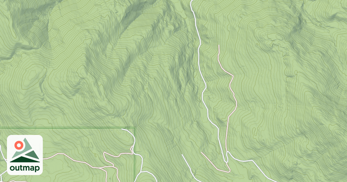 Map of USFS Motor Vehicle Use Map Roads {10B6FE62-276C-4902-A1A0-924DFB76840D}