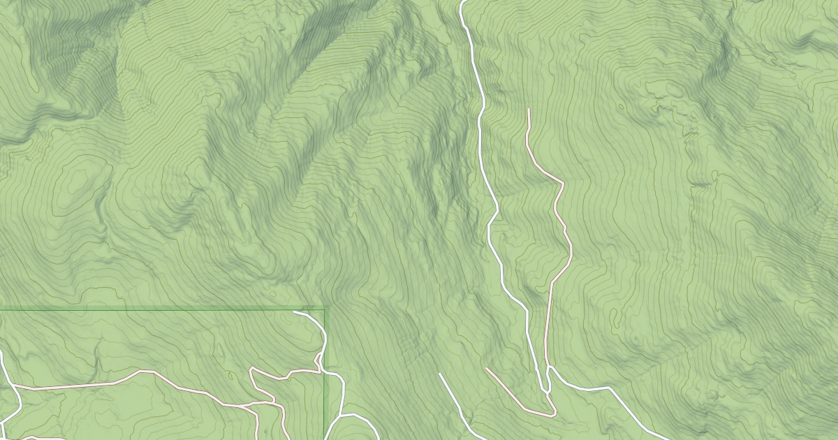 Map preview of USFS Motor Vehicle Use Map Roads {10B6FE62-276C-4902-A1A0-924DFB76840D}