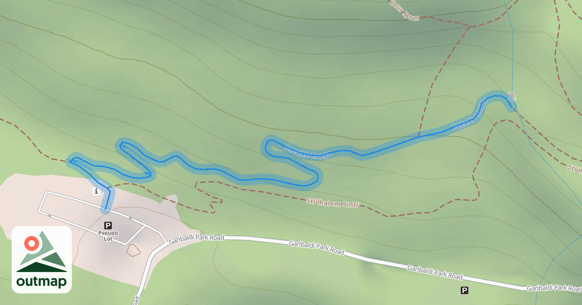 Map of Pseudo-Tsuga