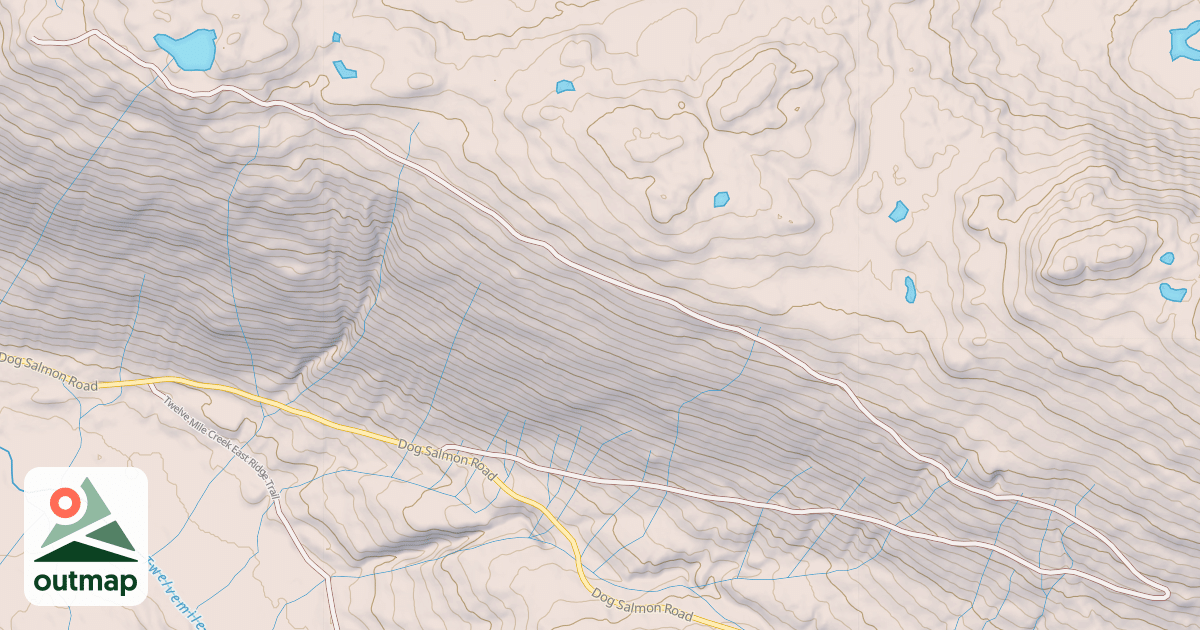 Map of USFS National Forest System Roads {27704A60-C37B-413E-881F-DB5E9C7E7C2B}