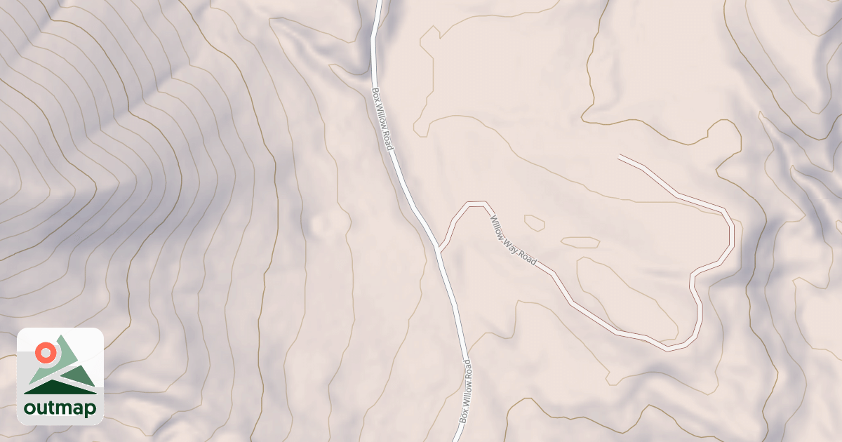 Map of BOX WILLOW
