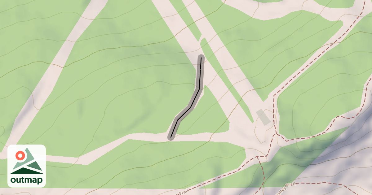 Map of Lift-Lion