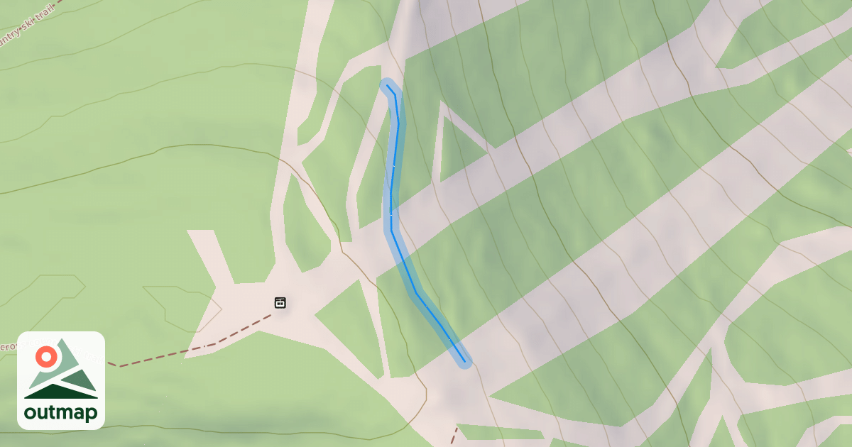 Map of Wing it