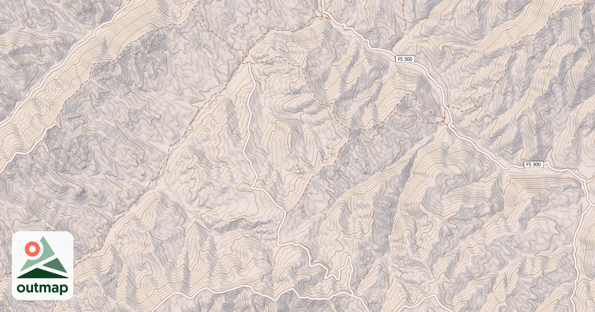Map of Danskin #531