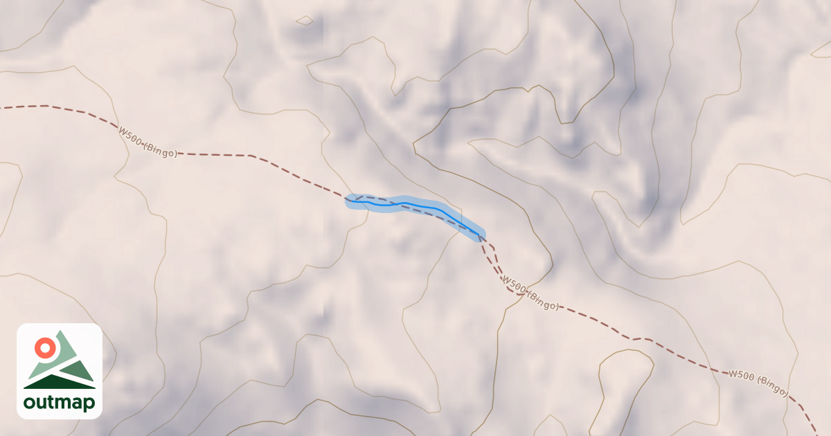 Map of W500 (Bingo)