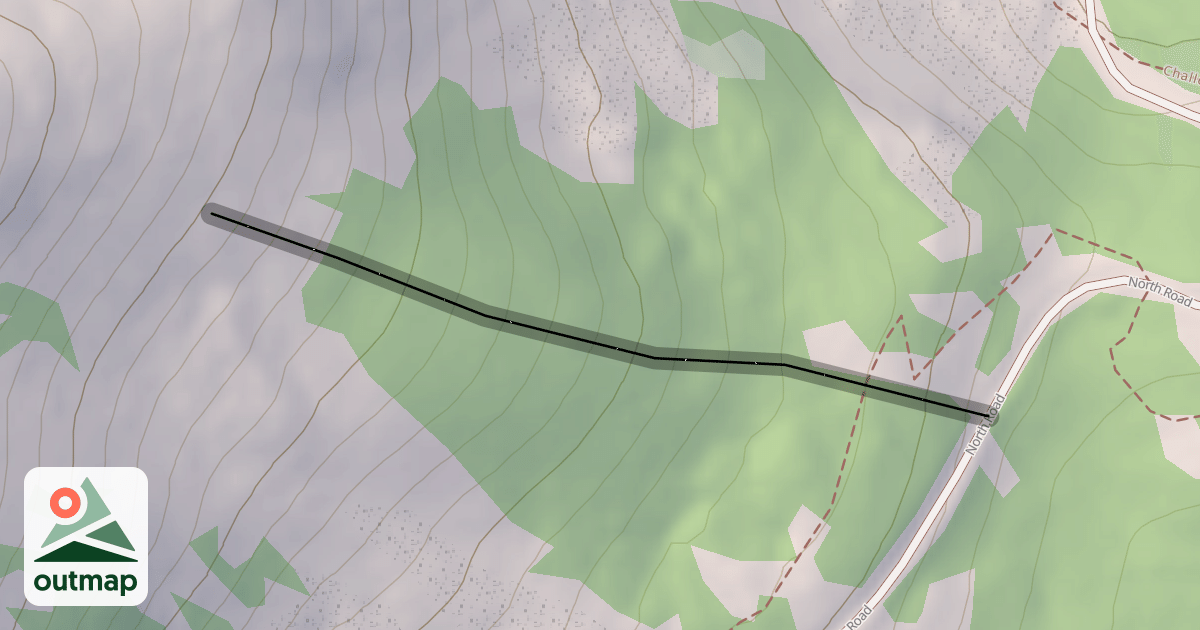 Map of St. Alphonse Trees