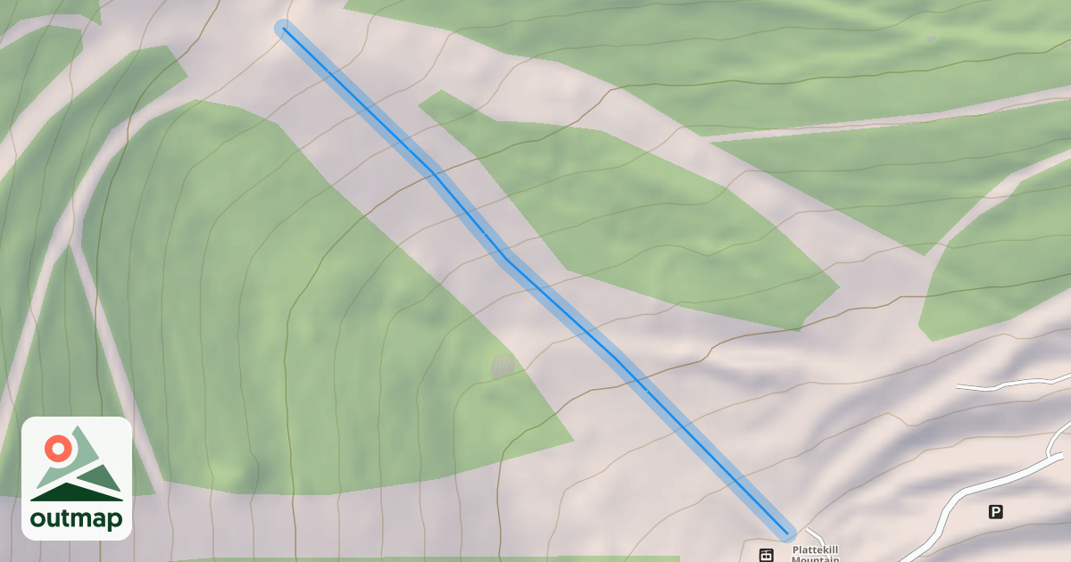 Map of Lower Face