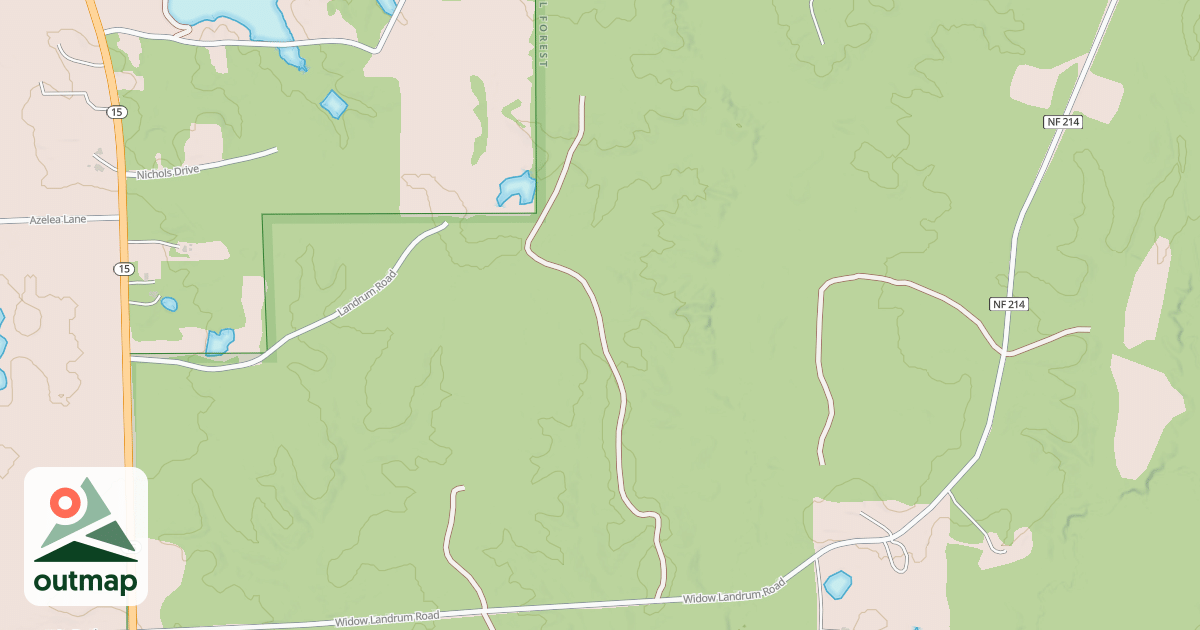 Map of USFS National Forest System Roads {CF2B2170-DC9D-4DC9-BF2D-26760909D986} in Jones