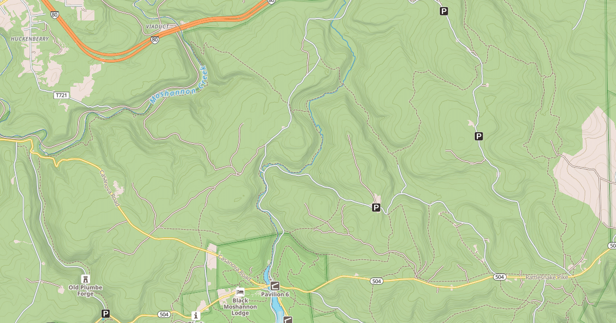 Map preview of Moshannon State Forest - Black Moshannon Snowmobile Trails