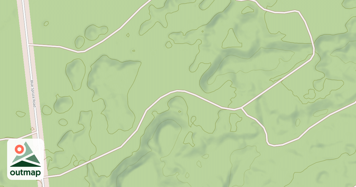 Map of BLUE SPRUCE SPUR ROAD