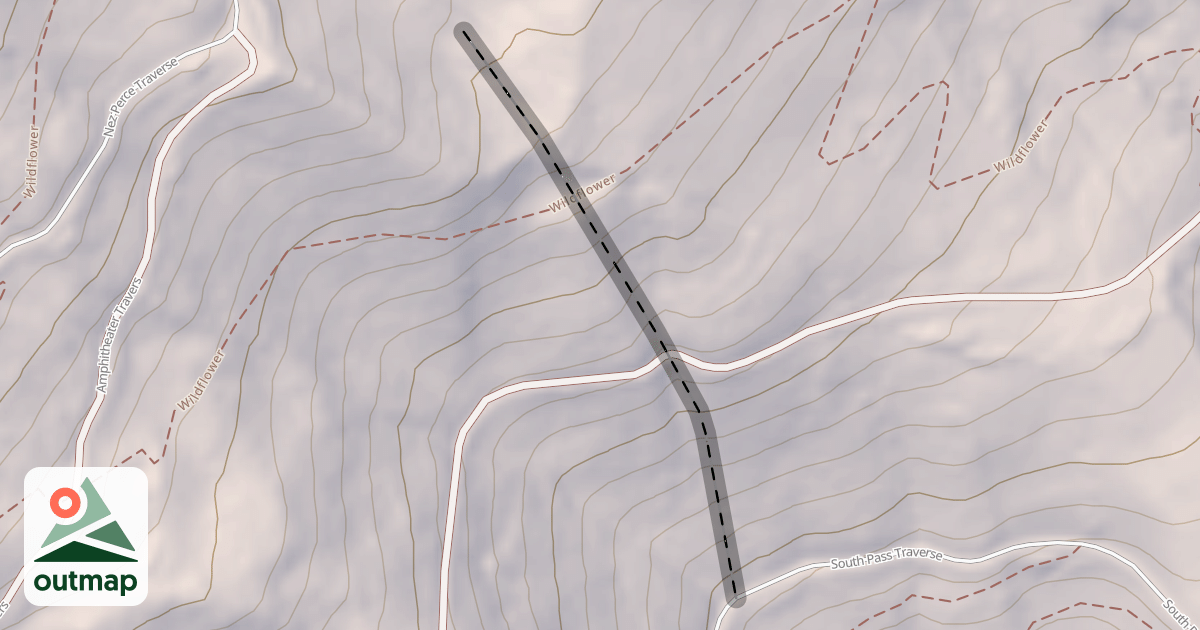 Map of Surprise