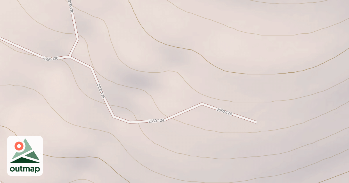 Map of USFS Motor Vehicle Use Map Roads {9432E716-4A9F-480C-BE21-47A9CA02A856}