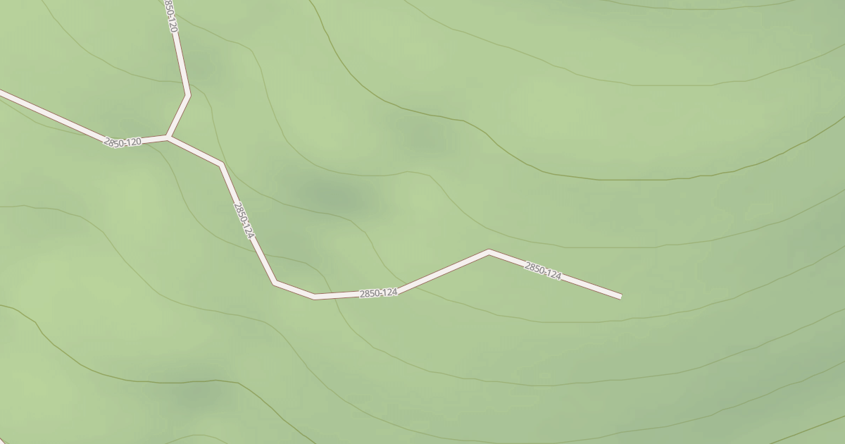 Map preview of USFS Motor Vehicle Use Map Roads {9432E716-4A9F-480C-BE21-47A9CA02A856}