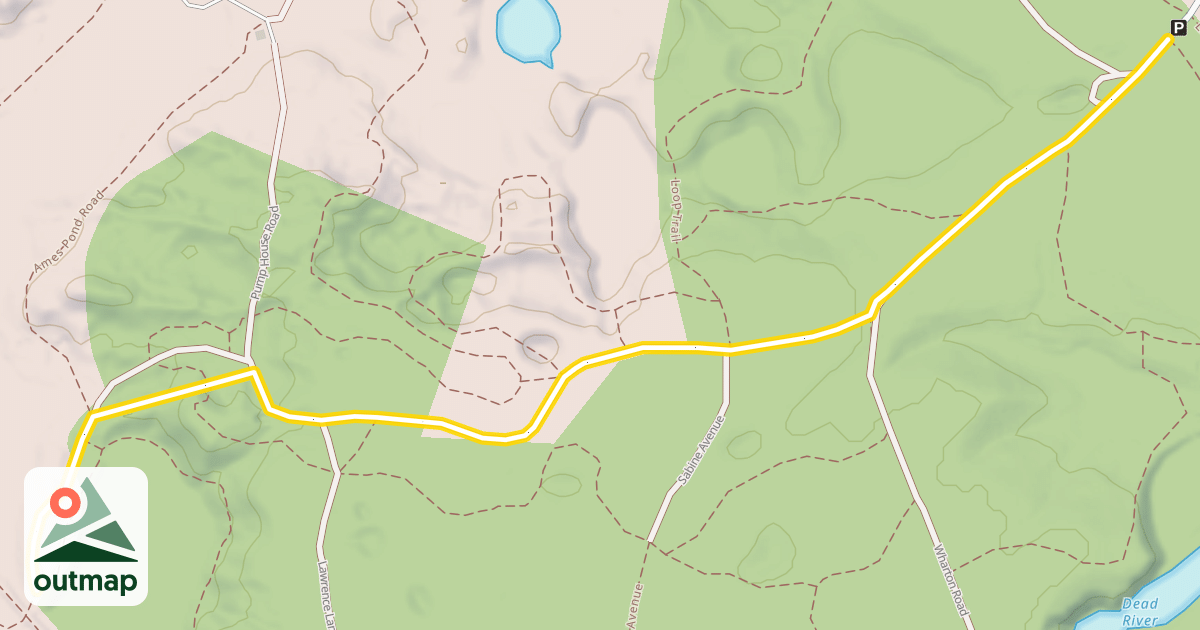 Map of Town Forest Road