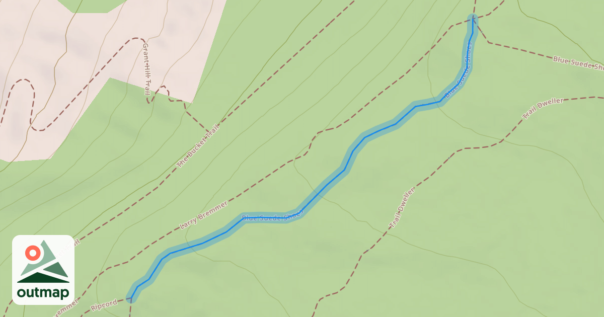 Map of Blue Suede Shoes