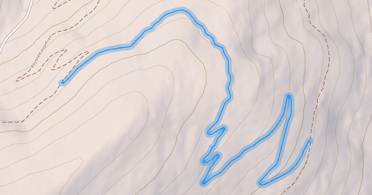 Map preview of What's Up Doc Trail
