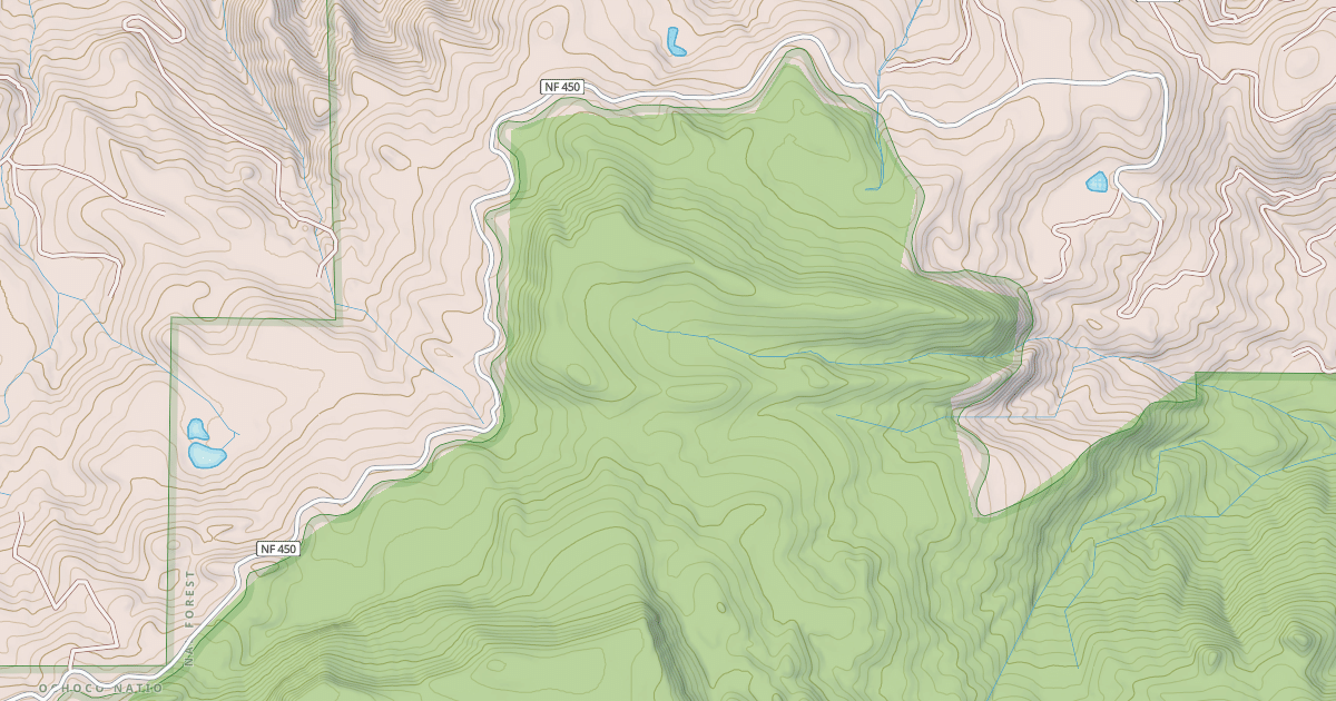 Map preview of USFS National Forest System Roads {E6AF90C7-5680-4361-B24B-1310B138211F}