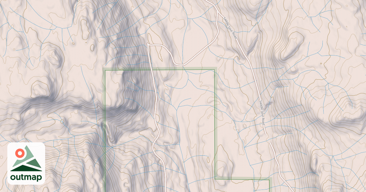 Map of USFS National Forest System Roads {84735F07-3F59-4EDE-B08D-6432AEABA6BC}