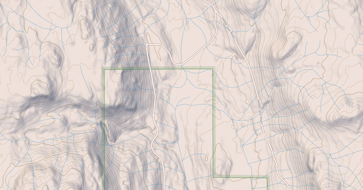 Map preview of USFS National Forest System Roads {84735F07-3F59-4EDE-B08D-6432AEABA6BC}