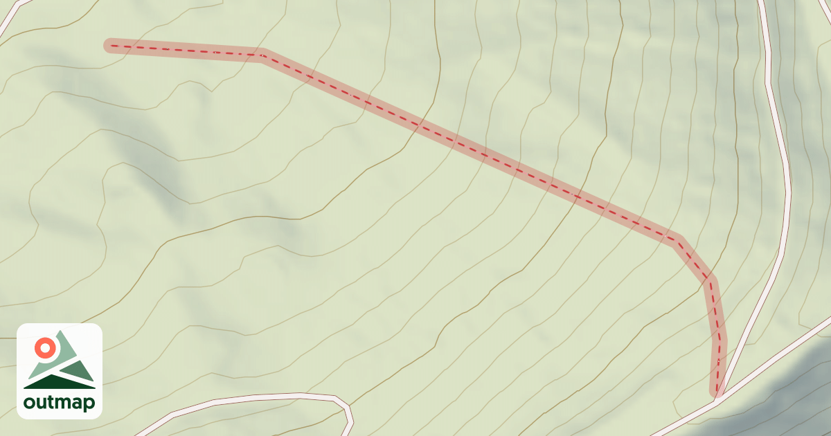 Map of Coccinelle