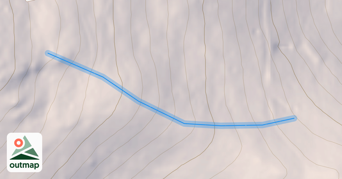 Map of Treasure