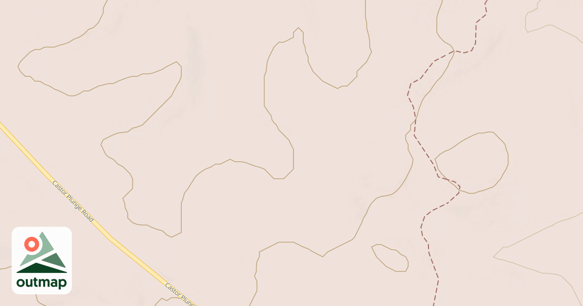 Map of USFS Motor Vehicle Use Map Roads {D790B3A5-B0BB-42C5-8E2A-22531419F08A}