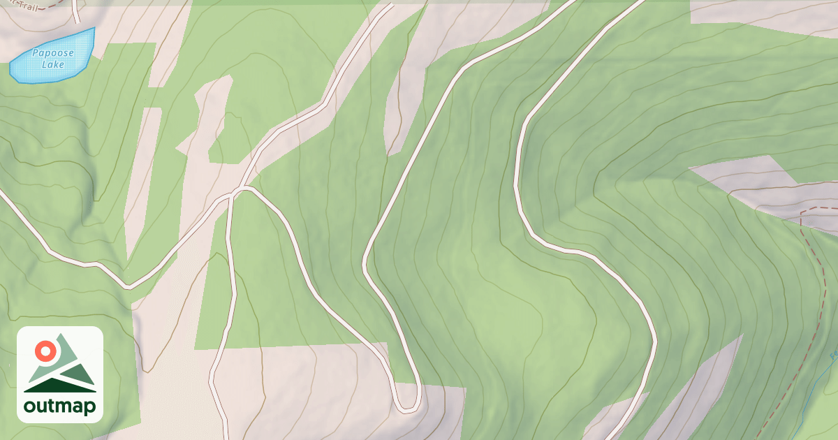 Map of USFS National Forest System Roads {0D71C9F2-4B98-4AB3-9DEC-0B9BD214B941}