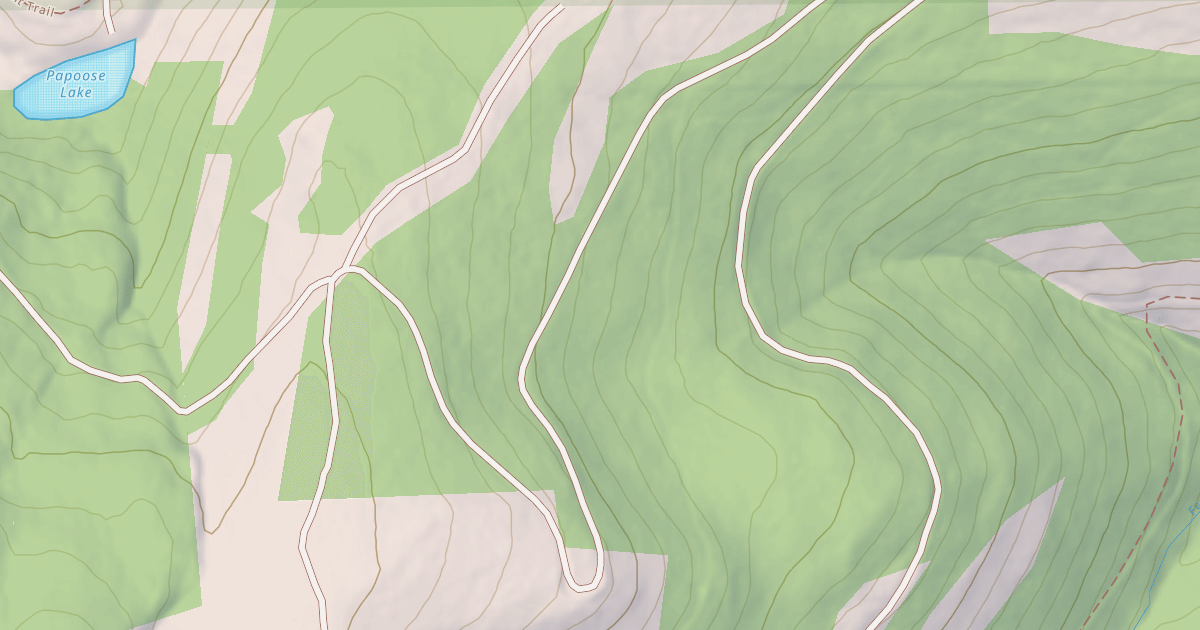 Map preview of USFS National Forest System Roads {0D71C9F2-4B98-4AB3-9DEC-0B9BD214B941}