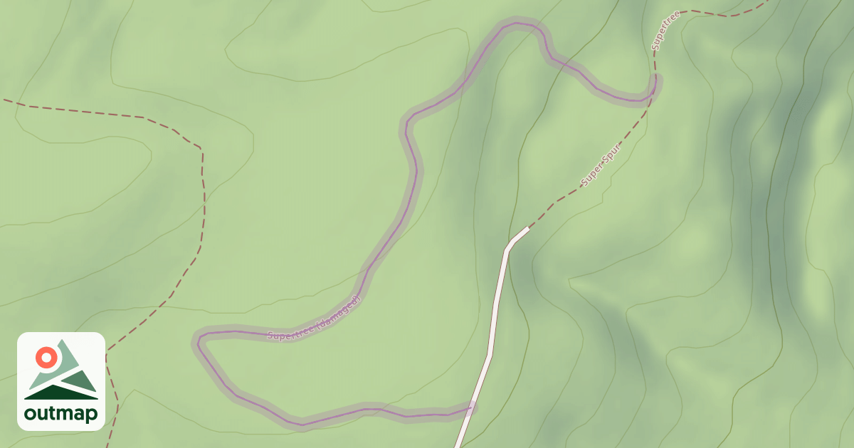 Map of Supertree (damaged)