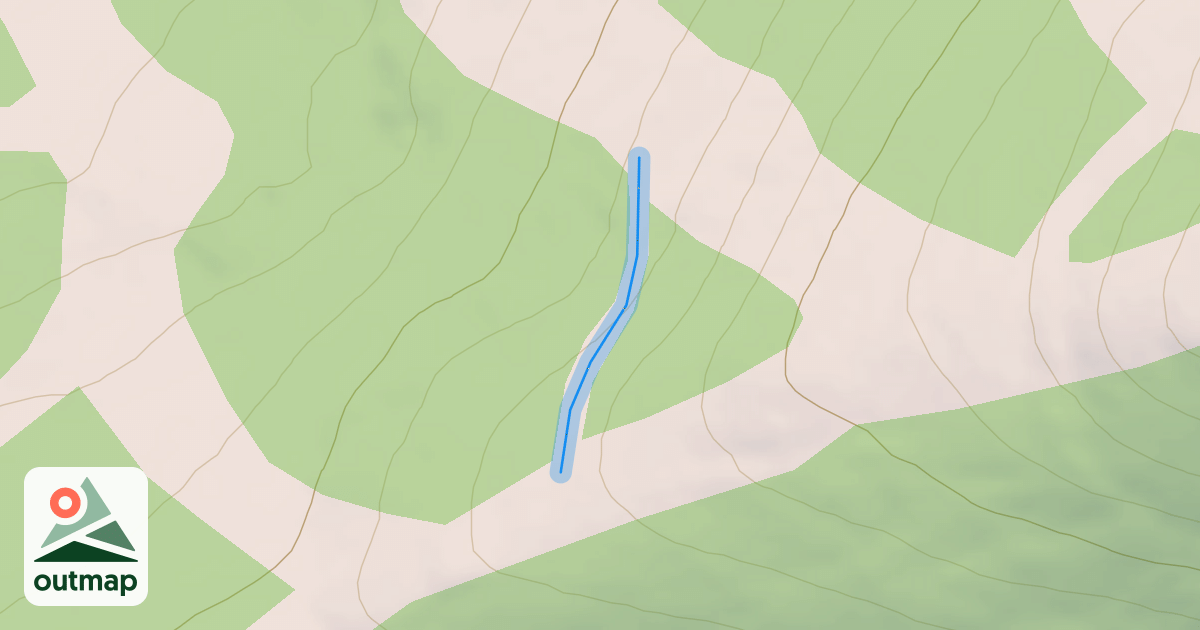 Map of Bergman road