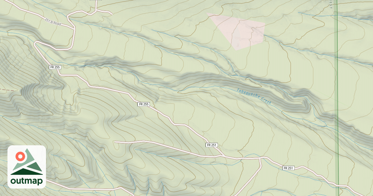 Map of DRONEY GULCH