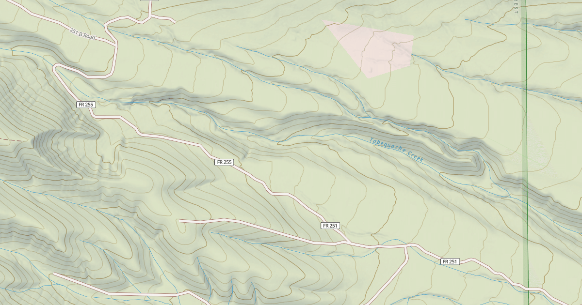 Map preview of DRONEY GULCH