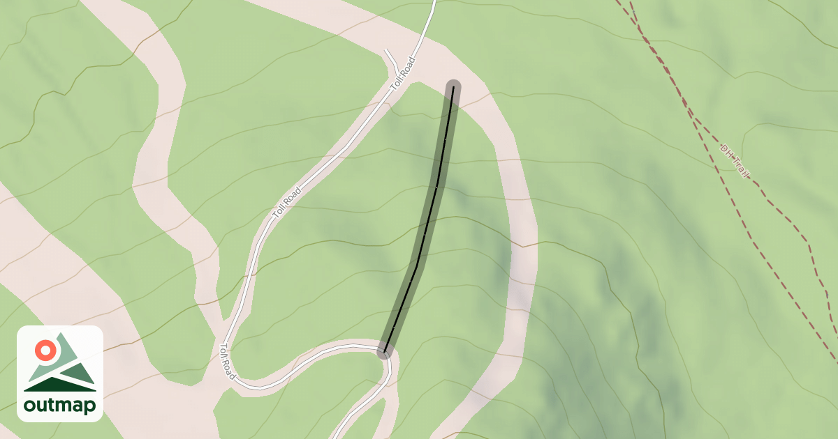 Map of Y-Knot