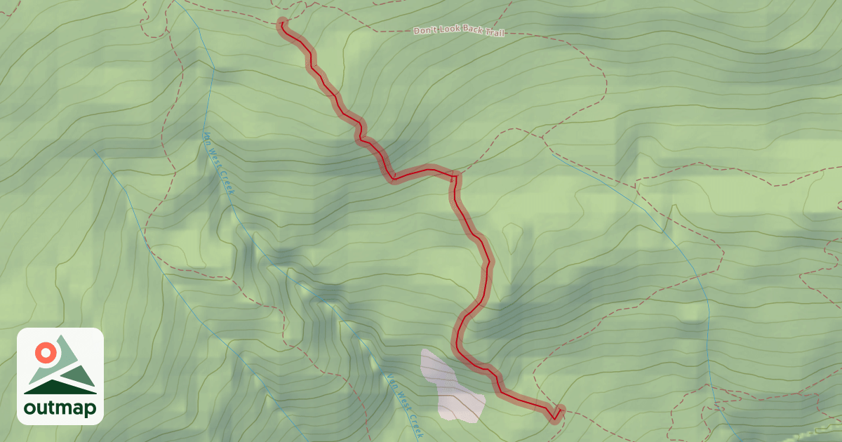 Map of Pigs on the Wing