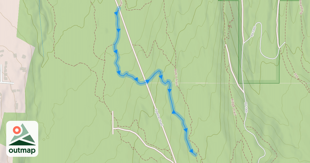 Map of Dogma