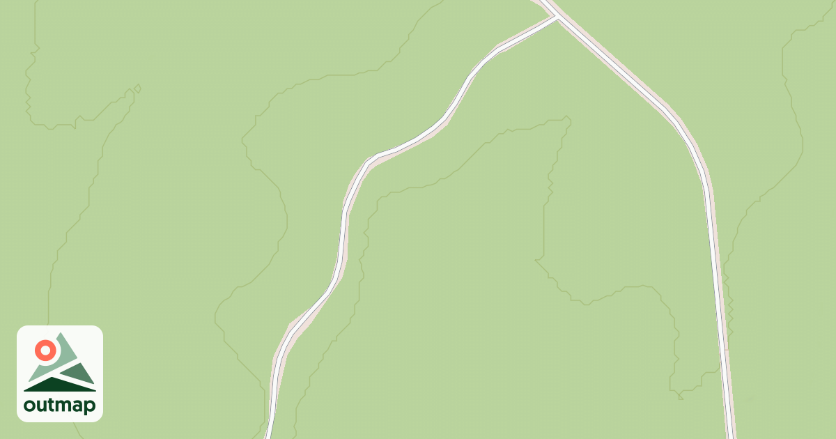 Map of USFS National Forest System Roads {4C804680-F29B-4FF6-AE1A-5A4676EDF34A}