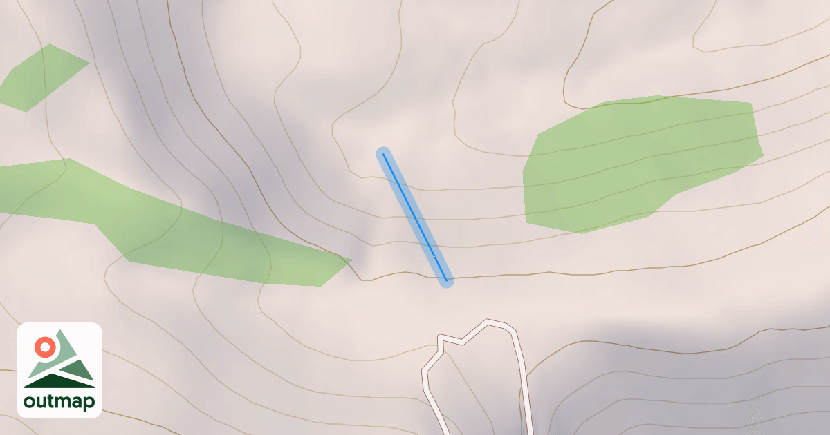 Map of Bill's Face
