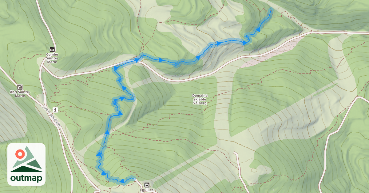 Map of Enduro bleu n°8 Pinguiller