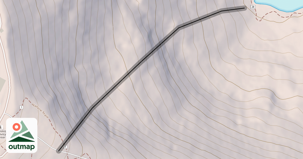 Map of Whiplash