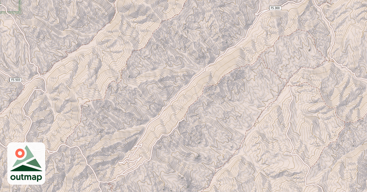 Map of DANSKIN #520