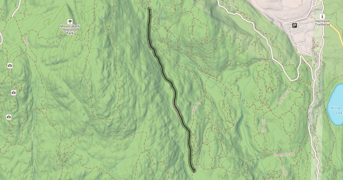 Map preview of Dave's line