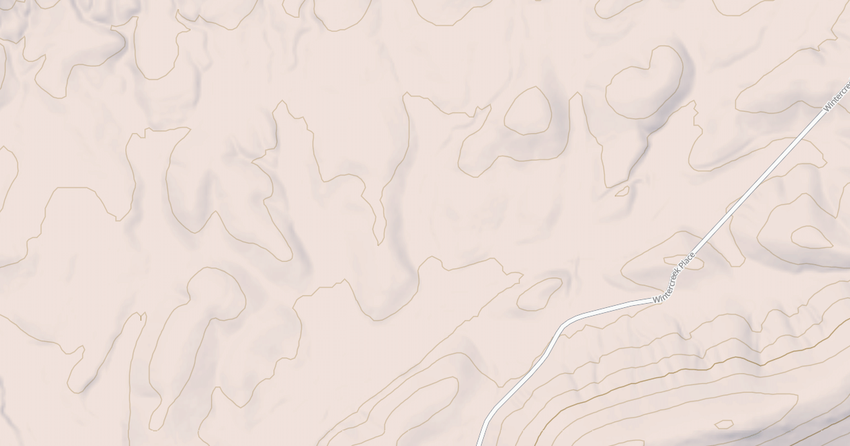 Map preview of USFS Motor Vehicle Use Map Roads {5B09928D-B18D-48B4-BF46-10A1323D9751}