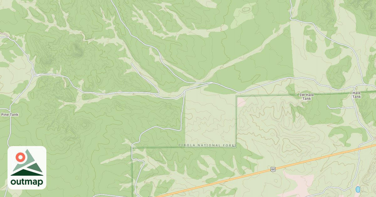 Map of USFS Motor Vehicle Use Map Roads {A612588A-DEC8-455F-B8CB-6DE7014BC3CA}