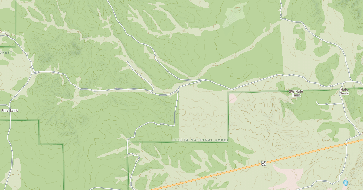 Map preview of USFS Motor Vehicle Use Map Roads {A612588A-DEC8-455F-B8CB-6DE7014BC3CA}