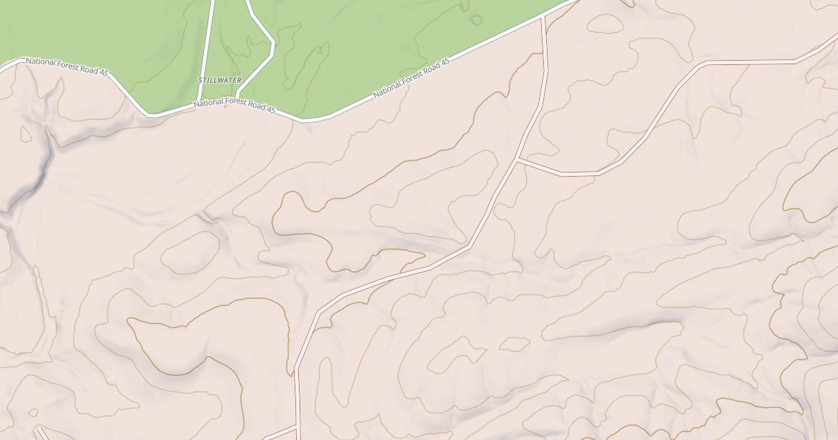 Map preview of USFS National Forest System Roads {929C3D0B-4137-4934-A639-DE2373FCC054}