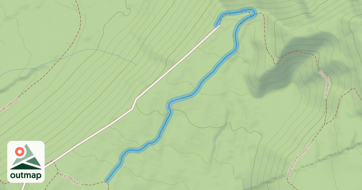 Map of Mad Hatter