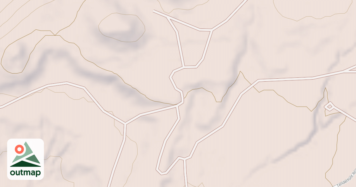 Map of BLM National GTLF Public Motorized Roads 0a4d64dd-8973-4e20-a079-c2a861839f36