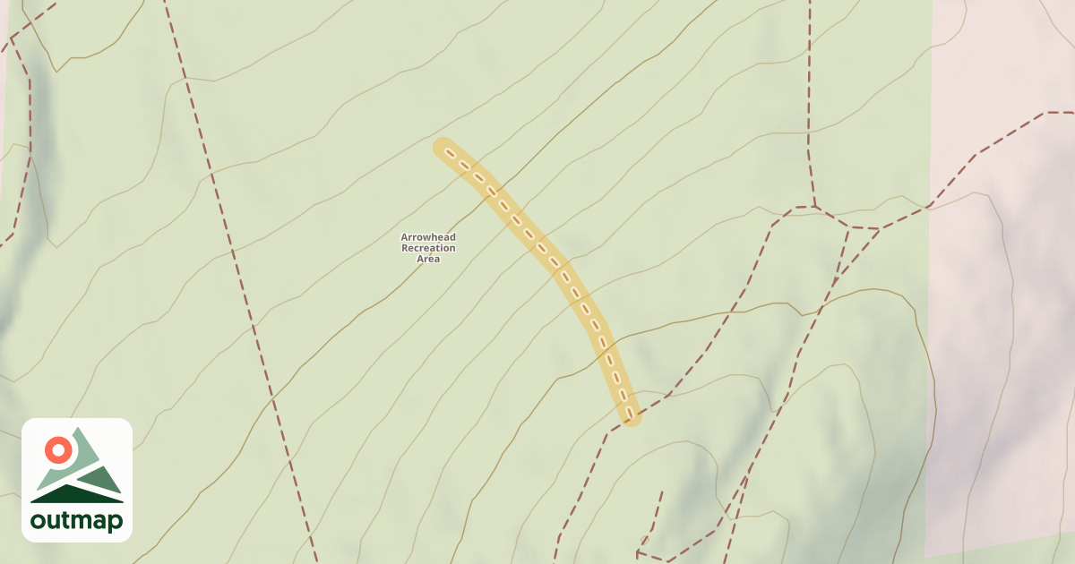 Map of Lower Face